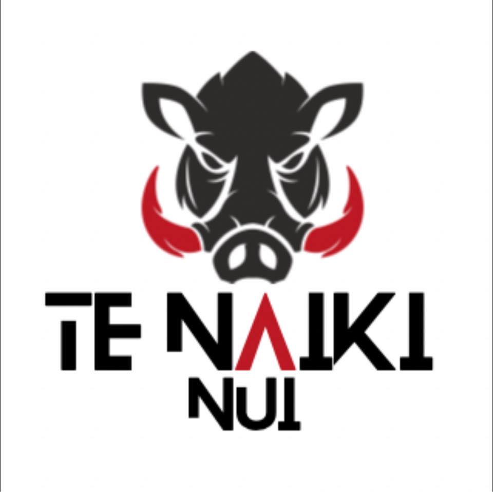 TE NAIKI NUI